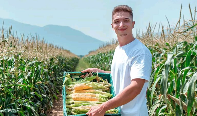 Screenshot_2025-07-29-17-44-47-03_45e686c594768066ad9911d54d96f72b