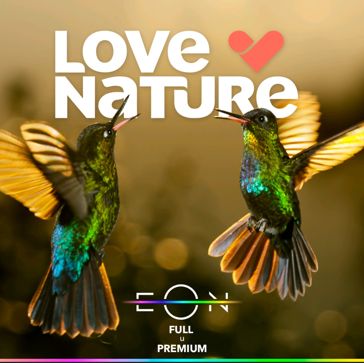 Screenshot_20260209_184603