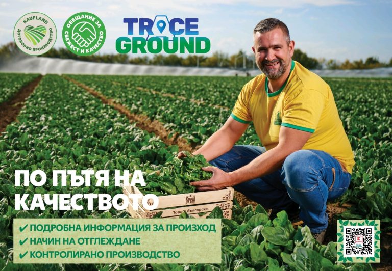 Screenshot_20260211_103901