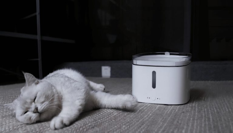 Screenshot_2026-04-21-14-42-28-41_99c04817c0de5652397fc8b56c3b3817